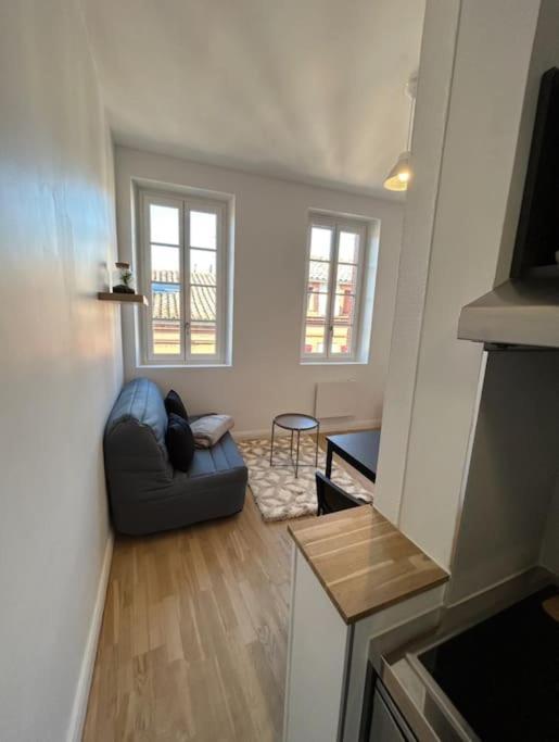 Le Studio Cygne Blanc Hypercentre Rue Riquet ตูลูส ภายนอก รูปภาพ