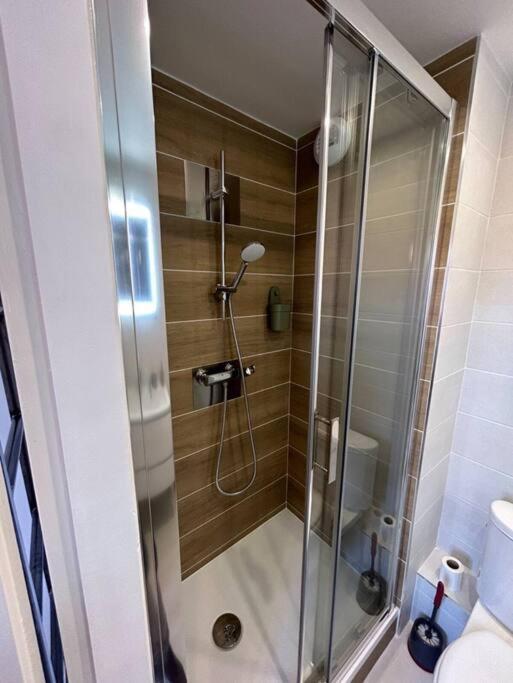 Le Studio Cygne Blanc Hypercentre Rue Riquet ตูลูส ภายนอก รูปภาพ